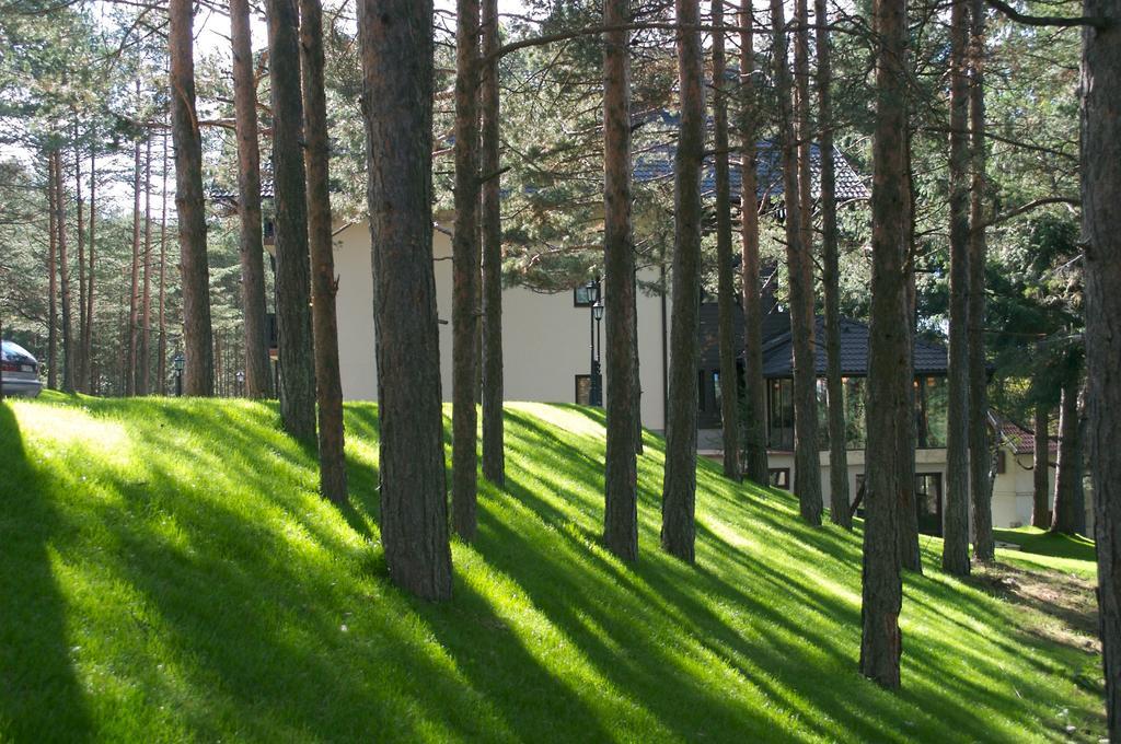 Vila Pina Zlatibor Kültér fotó